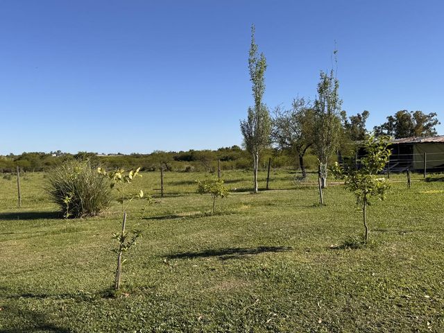 place photo 63