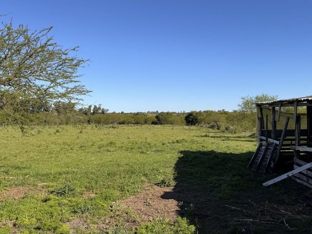 place photo 23