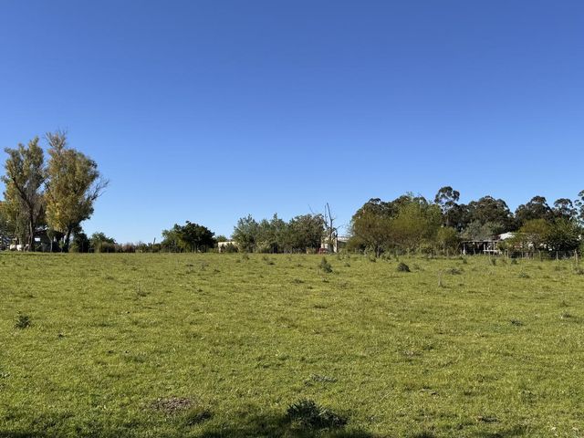 place photo 19
