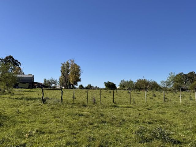 place photo 18