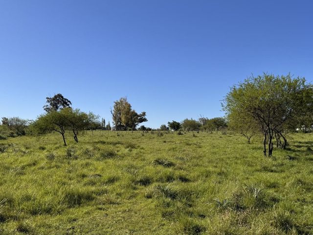 place photo 17