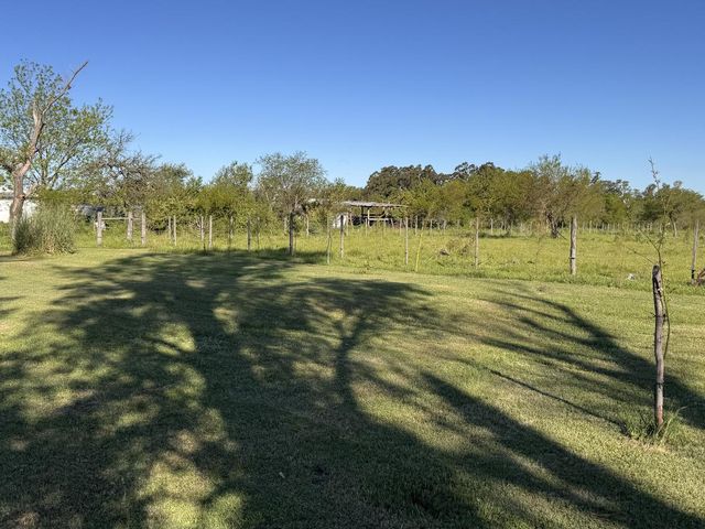 place photo 65