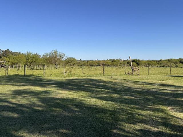 place photo 61