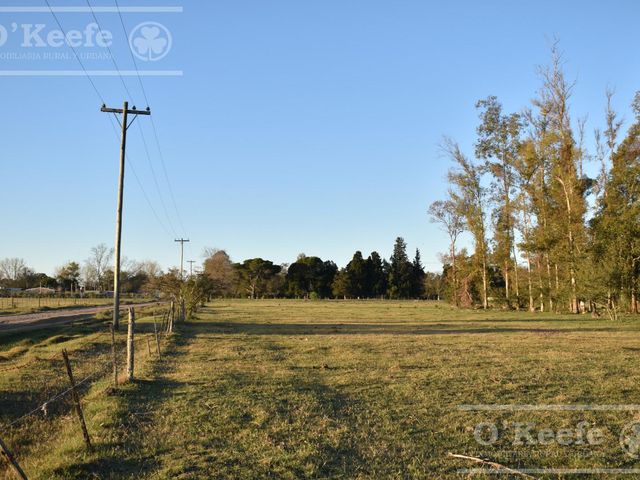 place photo 10