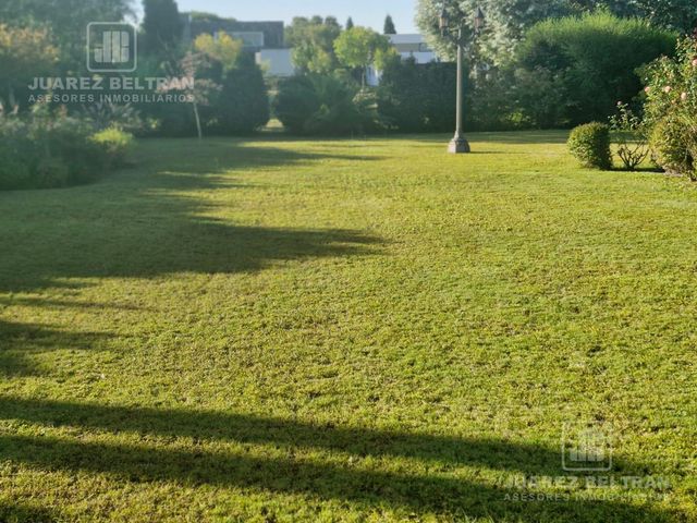place photo 39