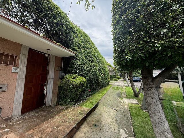 place photo 42