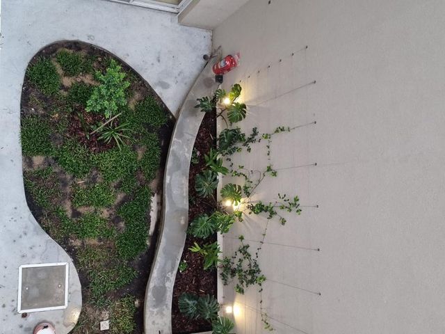 place photo 40