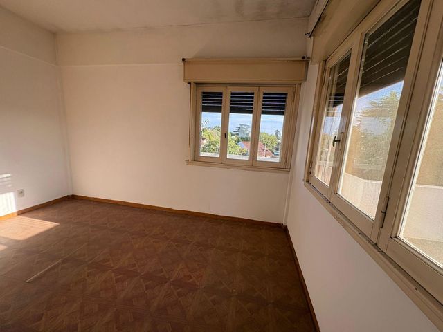 place photo 49