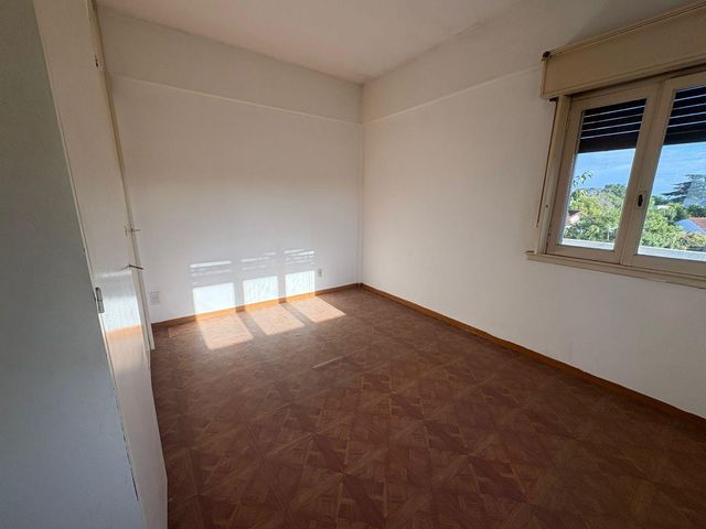 place photo 50