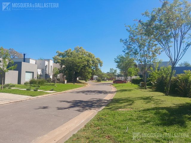 place photo 37