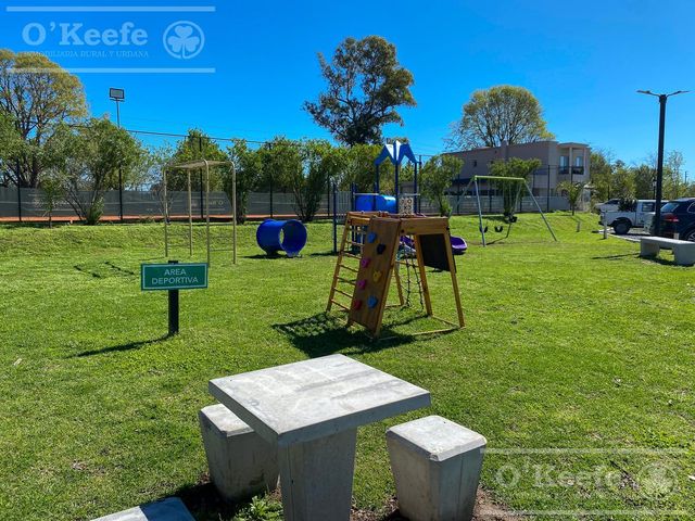 place photo 28