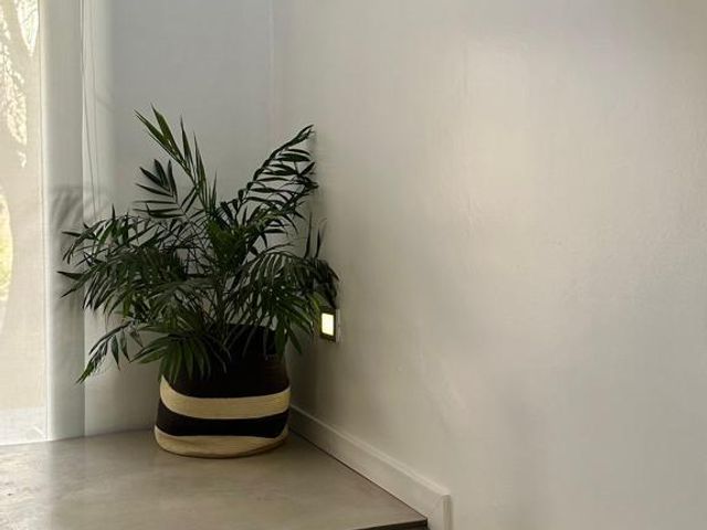 place photo 40