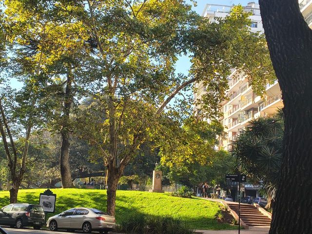 place photo 15
