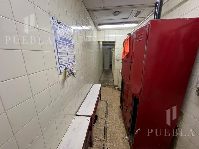 place photo 23