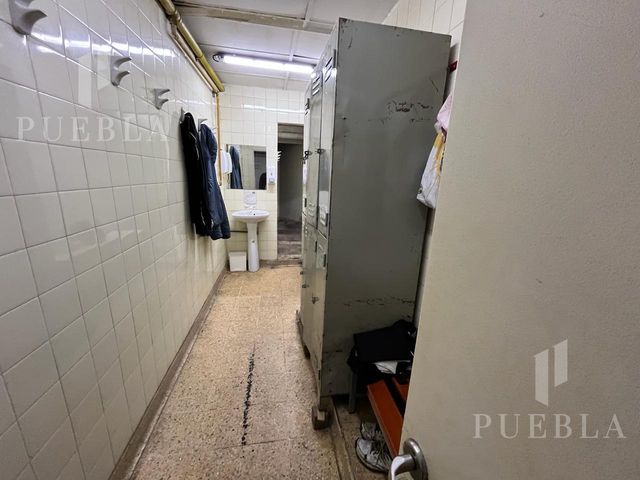 place photo 21