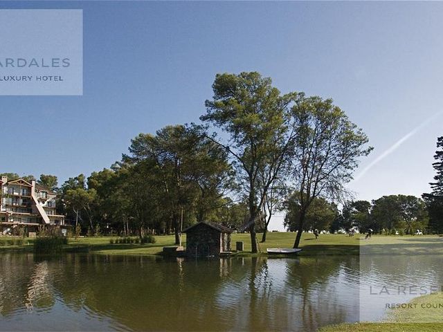 place photo 36