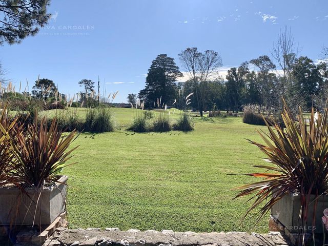 place photo 27