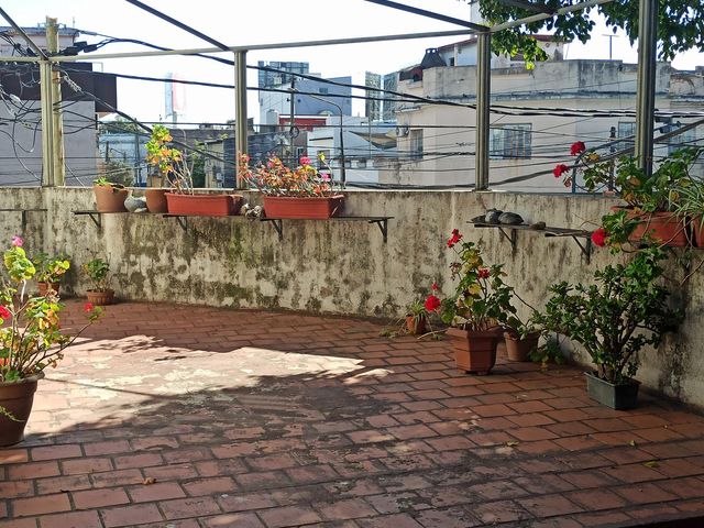 place photo 45