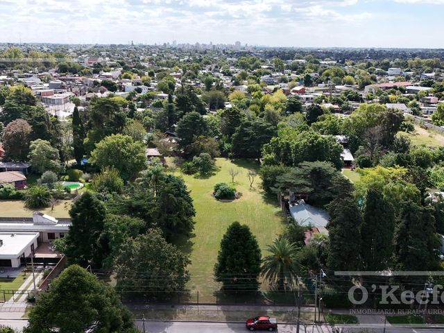 place photo 18