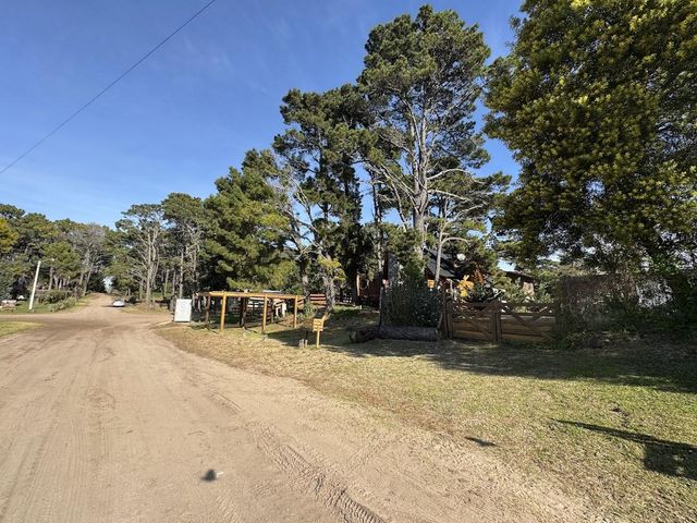 place photo 18