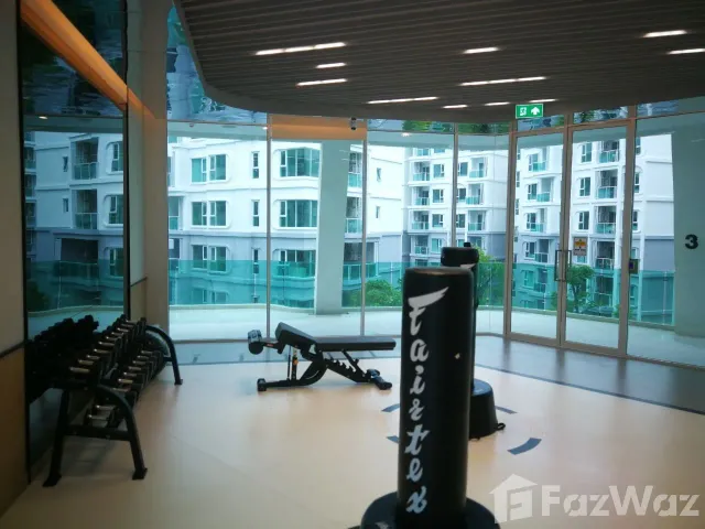 place photo 29