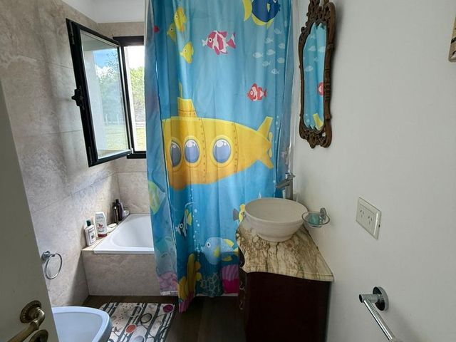 place photo 40