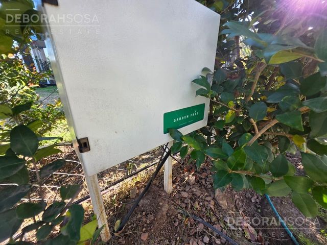 place photo 31
