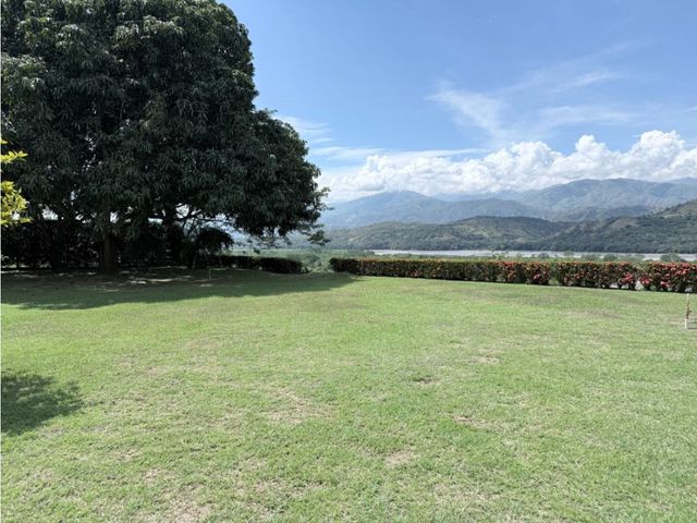 place photo 37