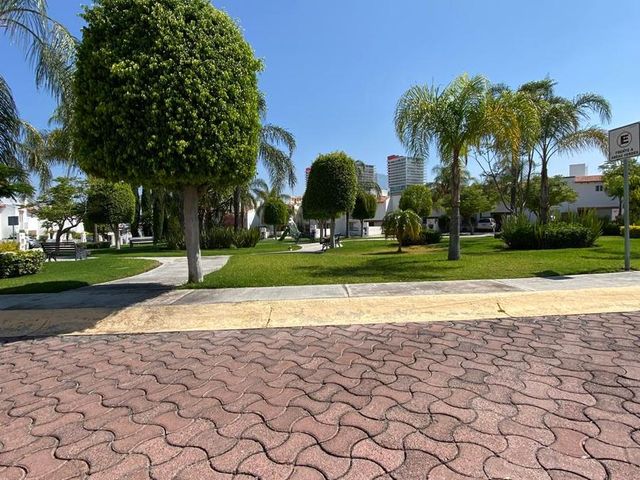 place photo 29
