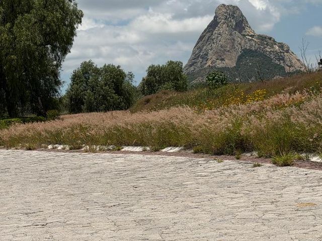 place photo 44