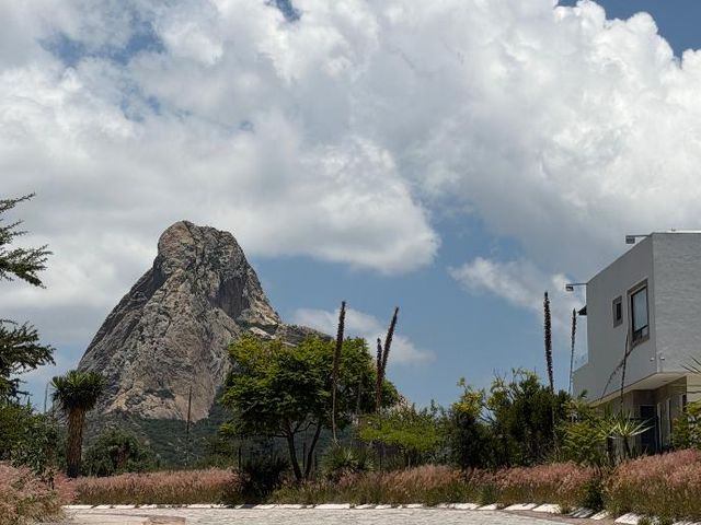 place photo 39