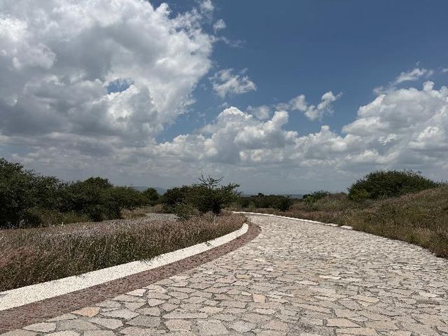 place photo 32