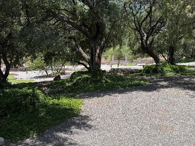 place photo 28
