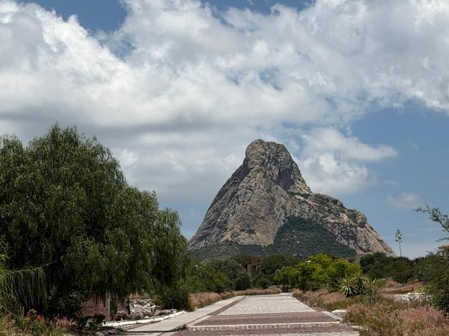 place photo 43
