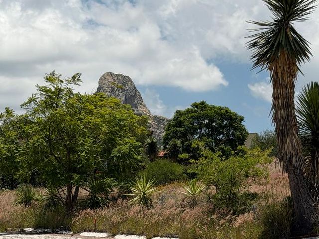 place photo 41