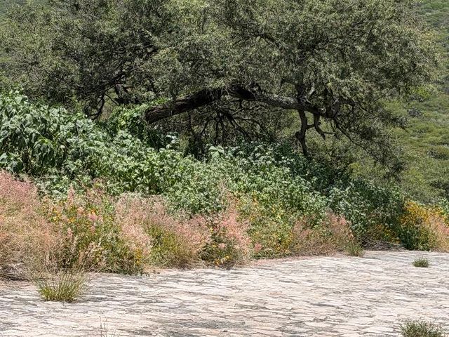 place photo 37