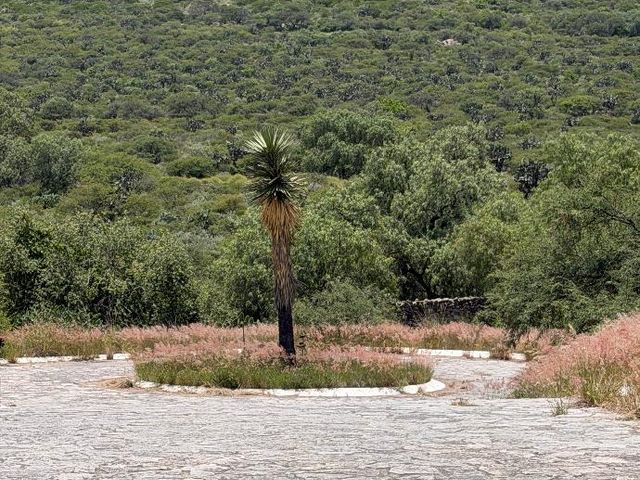 place photo 38
