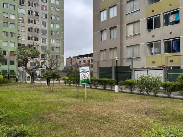 place photo 46