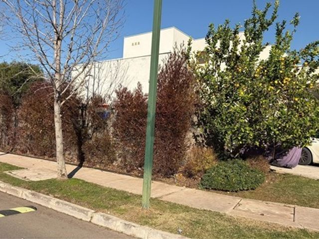 place photo 43