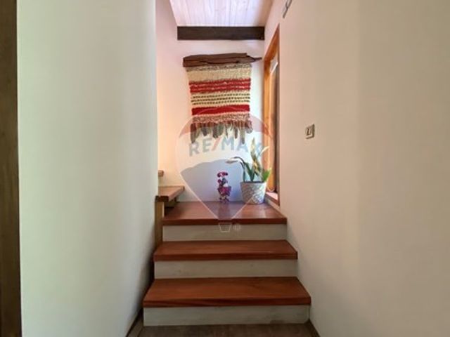 place photo 56