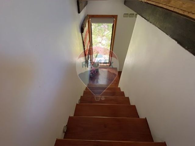 place photo 72