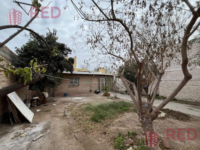 place photo 43