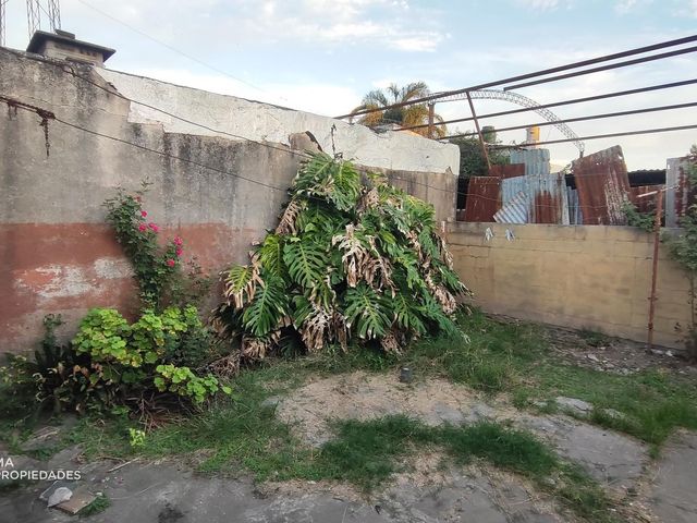place photo 12