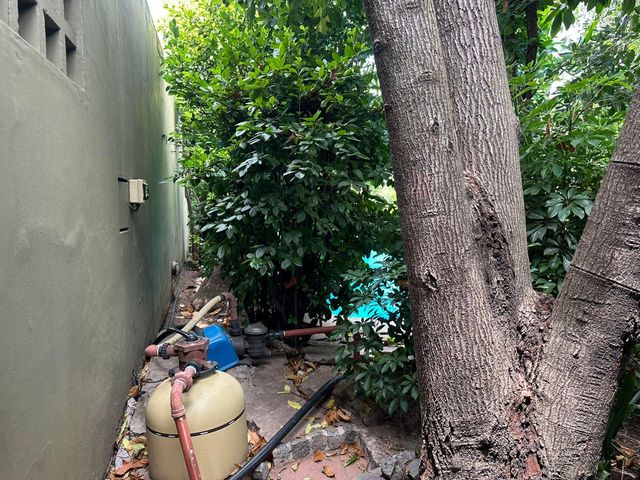 place photo 55