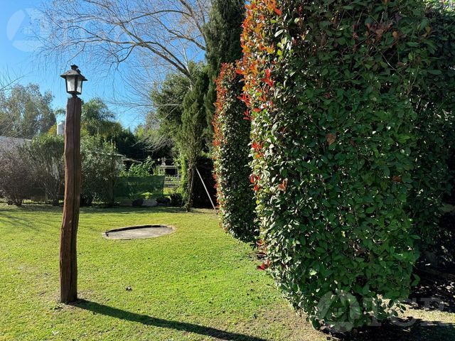 place photo 43