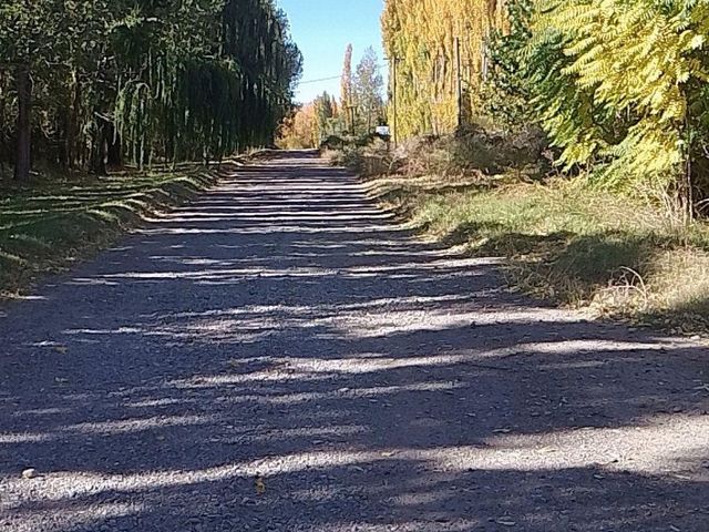 place photo 40