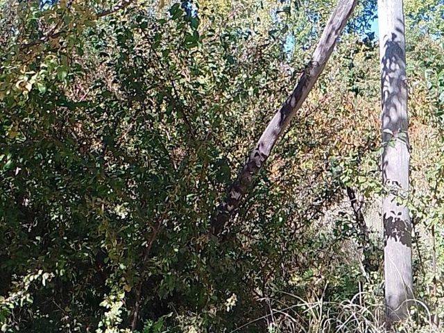 place photo 37