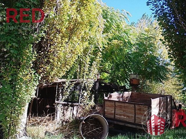 place photo 36