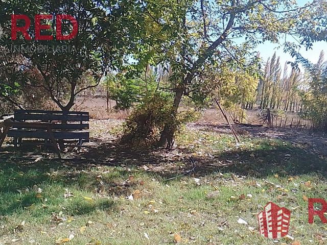 place photo 46