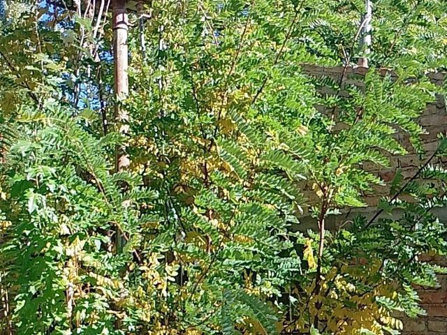 place photo 48